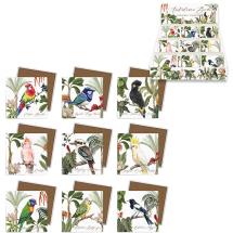 10x10cm Australian Bird Coaster 9 Asstd Display (72=Free Display)