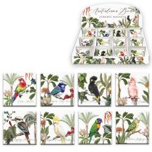8cm Australian Bird Magnet 8 Asstd (48=Free Display)