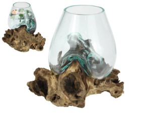 22cm Unique Hand Blown Glass Fish Bowl/Terrarium on Natural Driftwood