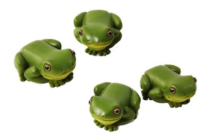 6cm Rain Forest Frog