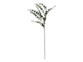 65cm 5 Head Eucalyptus Stem