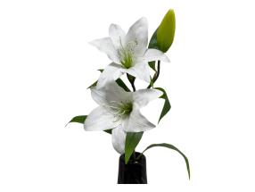 75cm 2 Head White Lily Stem